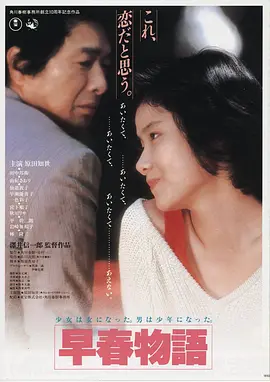烈焰追击 电影海报